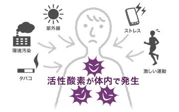 出典：https://health.suntory.co.jp/