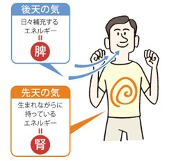 出典：https://www.yomeishu.co.jp/