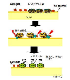 出典：https://www.shiseidogroup.jp/