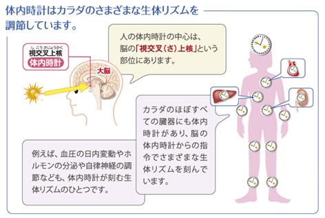 出典：https://www.takeda.com/ja-jp/