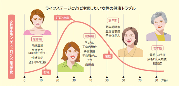 女性ホルモン量の変化